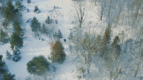 Aerial View Snowmobiler On Snow Covered Winter Forest 01