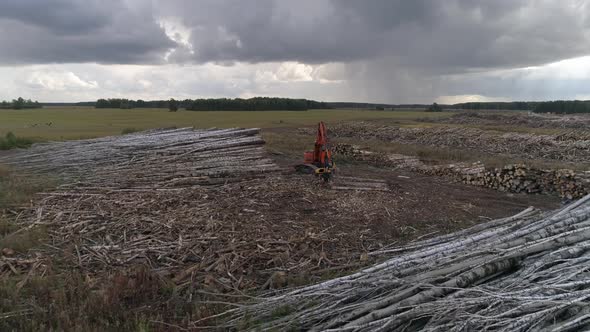 Aerial view of Harvester Cutting Tree Trunk in field near the forest 01 alt