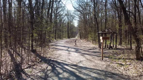 Fly forward in sunny spring forest dirt road path