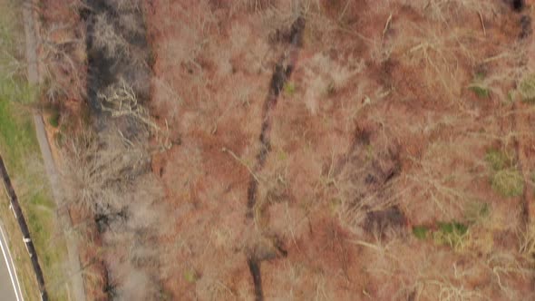 A drone view over a lake, surrounded by trees and a parkway next to it. It is a cloudy day. The came alt