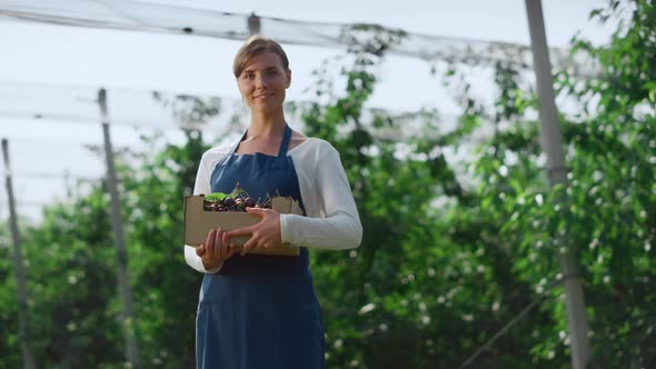 Farmer Holding Berry Crate Smiling Collecting Cherry on Warm Green Plantation alt