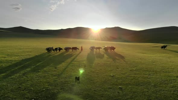 Central Asian Family People Walking Immigrating With Traditional Old Oxcart Tumbrel And Tumbril Cart alt