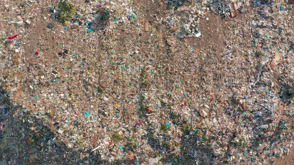 The Huge Garbage Dump, the Ecological Disaster of Our Planet alt