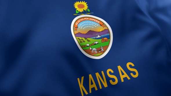 Kansas State Flag alt