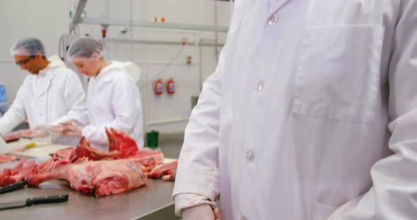 Butcher sharpening knife alt