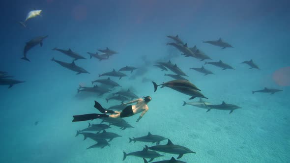 Beautiful Young Man Swimming Underwater with Dolphins in Pristine Blue Ocean Water Amazing alt