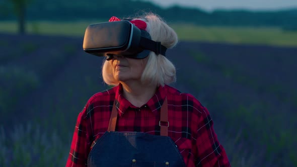 Senior Grandmother Farmer in Virtual Reality Helmet Managing Quality in Field of Lavender Flowers alt