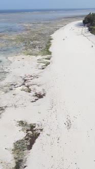 Vertical Video of Low Tide in the Ocean Near the Coast of Zanzibar Tanzania alt