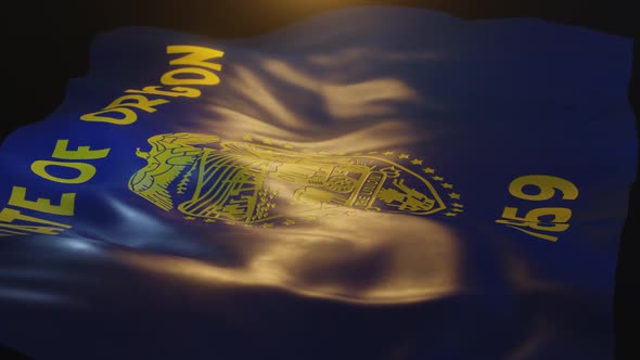 Oregon State Flag Low Angle View