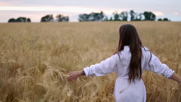 Romantic and Carefree Young Woman in Slow Motion Video Walking on Field Wheat Enjoying Freedom and alt