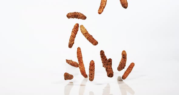 Turmeric, curcuma longa, Roots falling against White Background, Indian Spice, Slow Motion 4K alt