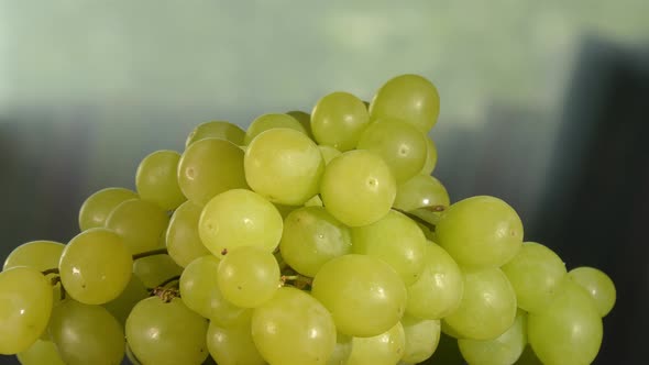 Closeup Shot of a Bunch of Juicy Grapes Rotating alt