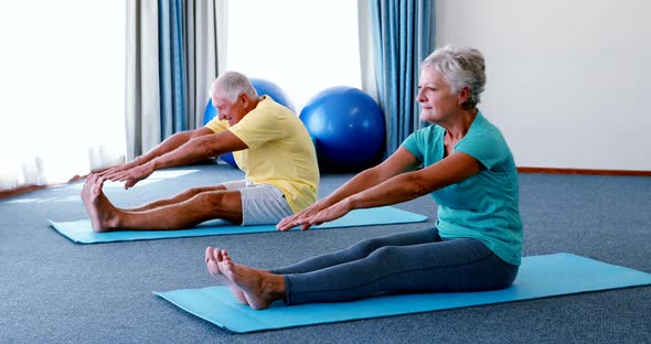 Senior citizens performing stretching exercise alt