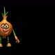 Onion Promotion Ads - Looped Animation with Alpha Channel and Shadow - VideoHive Item for Sale