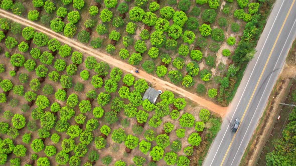 4K Aerial view over a farmer's garden. A car drives on a road near a garden in rural Thailand. alt
