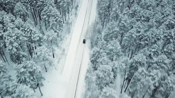 Black Car Driving on Snowy Country Road in Pine Forest, Aerial View alt