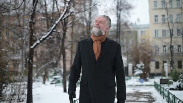 Adult gray-haired solid man with a beard walks along the boulevard on a winter alt