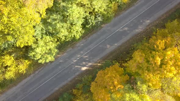 Aerial view of car road in autumn forest with bright orange and yellow leaves. Dense woods alt