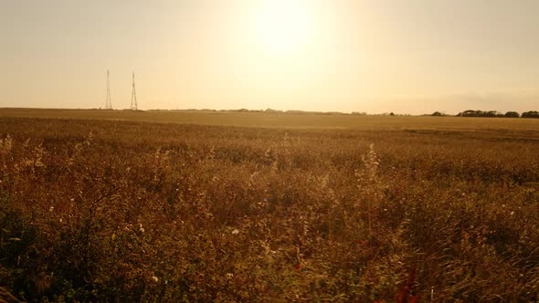 The White Cliffs of Dover, Kent, England, UK alt