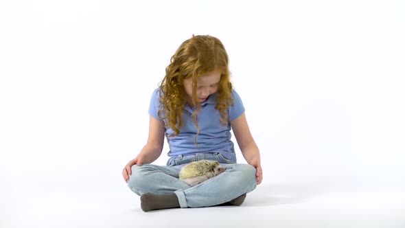 Redheaded Little Girl with Curly Hair Is Holding Hedgehog at White Background. Slow Motion alt