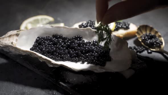 Black Caviar in a White Plate on a Black Background Closeup
