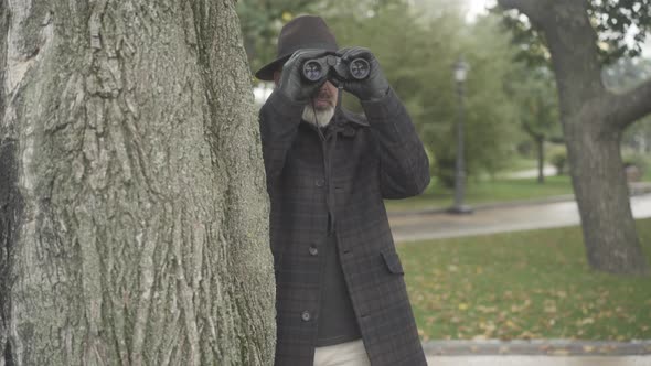 Professional Intelligencer or Spy Standing Behind Tree and Using Binoculars. Portrait of Confident alt