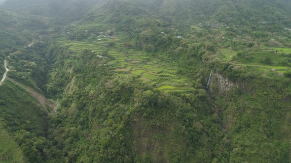 Rice Terraces in the Mountains alt