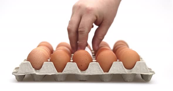 Close Up of Close Up of a Hand Picking Out One White Chicken Egg in Between Brown Eggs in a alt