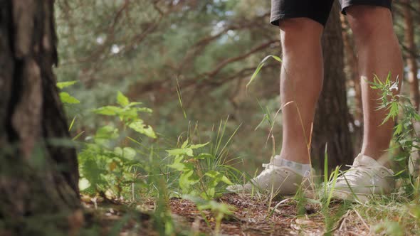 Young Asian Man Hipster with Backpack Drinking Water at Tree in Nature Forest During Trekking Tour alt