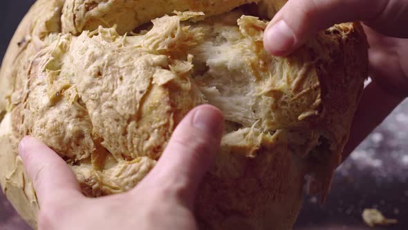 Hands Breaking Apart Fresh Baked Bread, Close Up alt