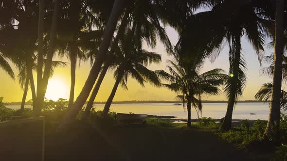 Smooth Camera Movement alt