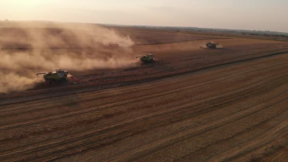 Aerial shot: flying around combines harvesting an summer sunset