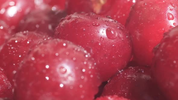 Macro Video of Ripe Cherries with Water Drops Falling on Them alt