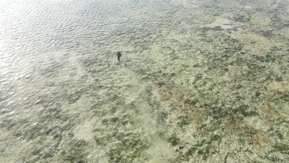 Man Walks Along the Beach at Low Tide in Zanzibar Tanzania Slow Motion alt