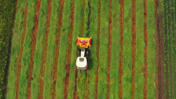 Aerial Topdown View of a Tractor Cutting Grain Moving on Beautiful Fresh Green Field