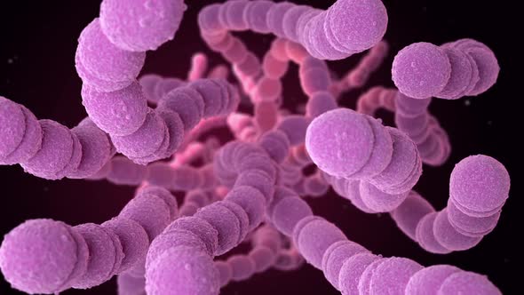 Streptococcus Pneumoniae Bacteria, Motion Graphics | VideoHive