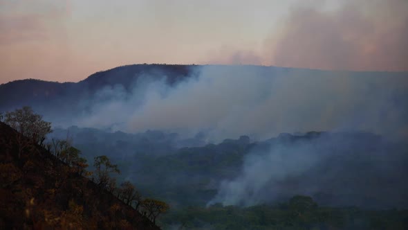 Wide angle shot of a forest fire alt