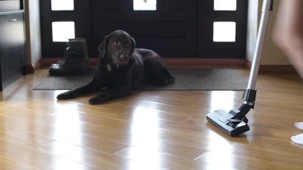 close-up of the feet of a girl who vacuums and dances in the hallway alt