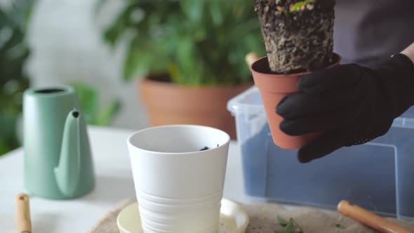 Hobby and Interior Concept alt