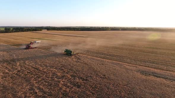 Combines Harvesting Wheat