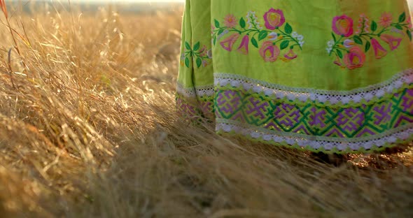 Closeup Women in Beautiful Embroidered Skirts Walk on Dry Grass in a Field alt