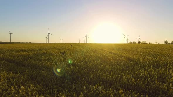 Wind Turbine Farm on Beautiful Evening Landscape. Renewable Energy Production for Green Ecological alt