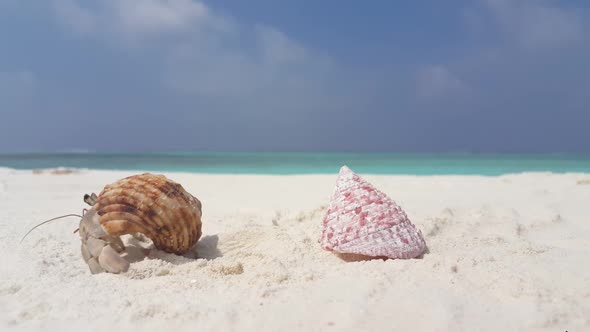 Aerial view travel of idyllic tourist beach break by blue water and white sand background of a picni alt