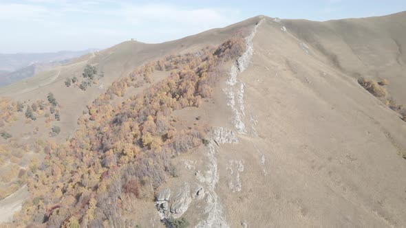 Flying over beautiful mountains in Bakuriani. Aerial view of Autumnal forest. Georgia alt