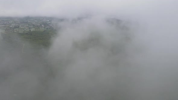 Aerial view of foggy mist tea plantation in Indonesia alt