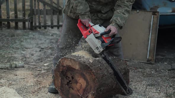 Cutting Tree Slowmotion