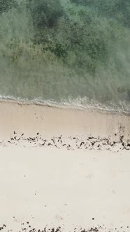 Tanzania  Vertical Video Empty Beach on Zanzibar Island Slow Motion alt