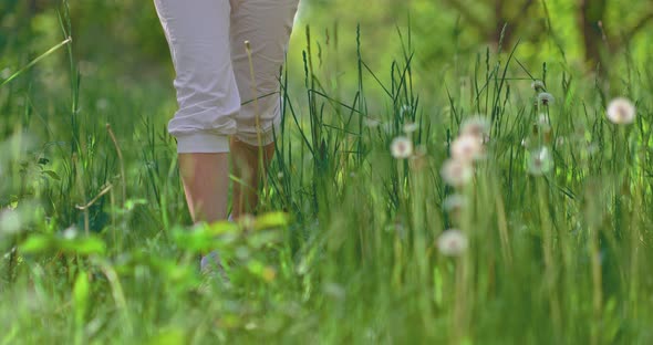 Legs in Sneakers are Walking in the Grass alt