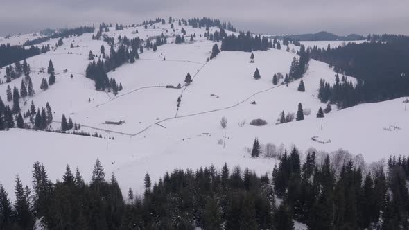 Aerial view of a mountain with fir trees during winter alt