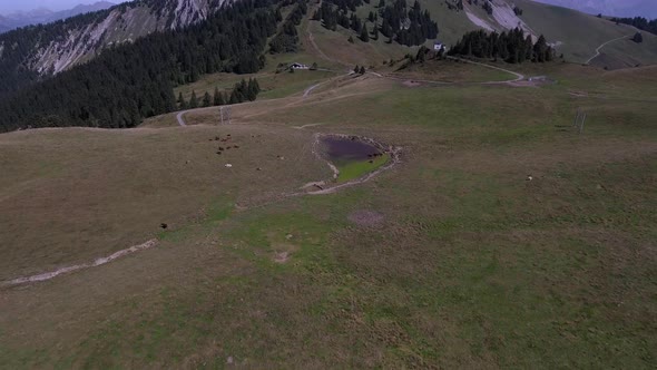 Flight Over Cows And a Water Point In Mountain alt